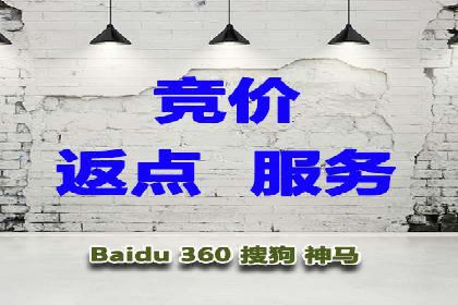 案例解析：SEM投放助力电商增长